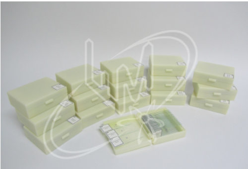 Комплект микропрепаратов по общей биологии (профильный уровень) 